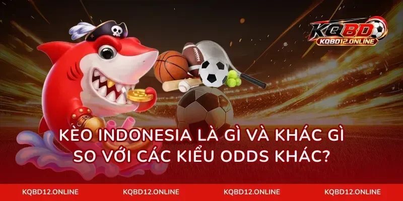 Kèo Indonesia là gì và khác gì so với các kiểu odds khác?
