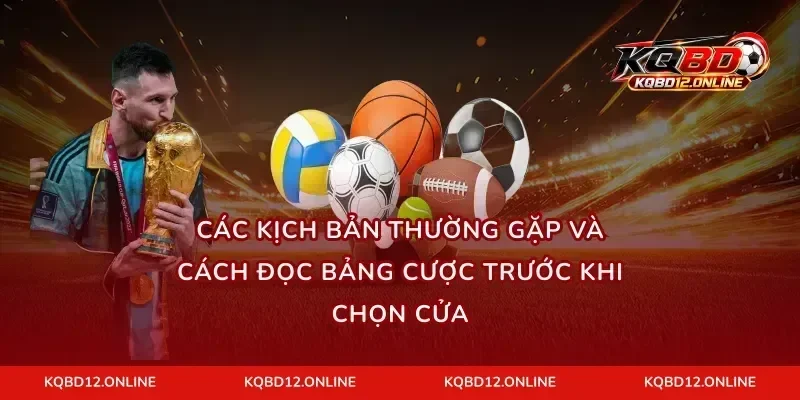 Các kịch bản thường gặp và cách đọc bảng cược trước khi chọn cửa